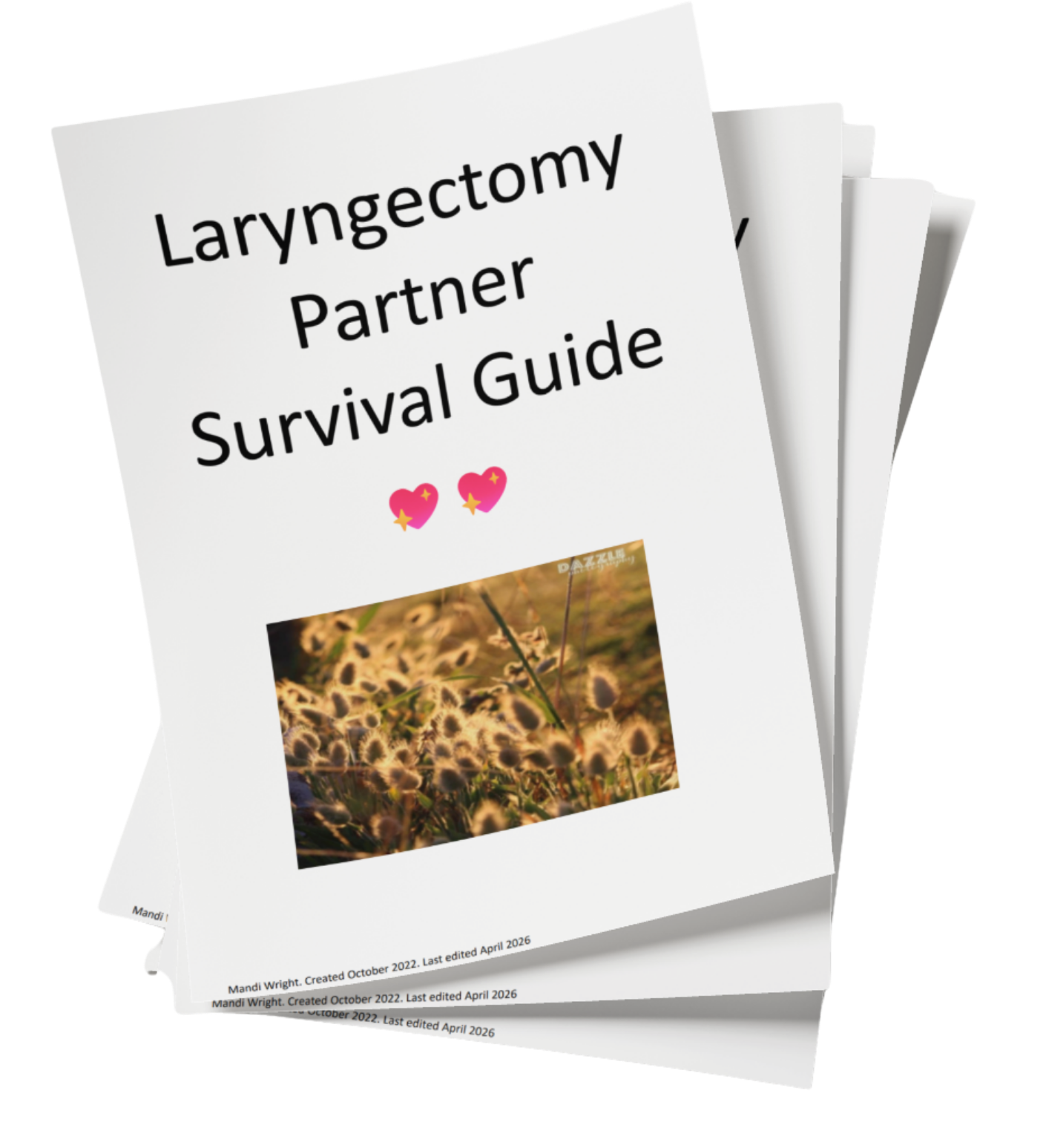 Image of Laryngectomy Partner Survival Guide booklet cover
